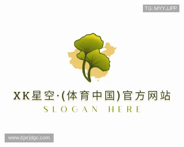 解读XK星空体育